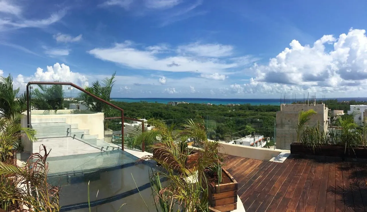 Polo 54 Apartments Ideal For Families And Couples プレヤデルカーメン