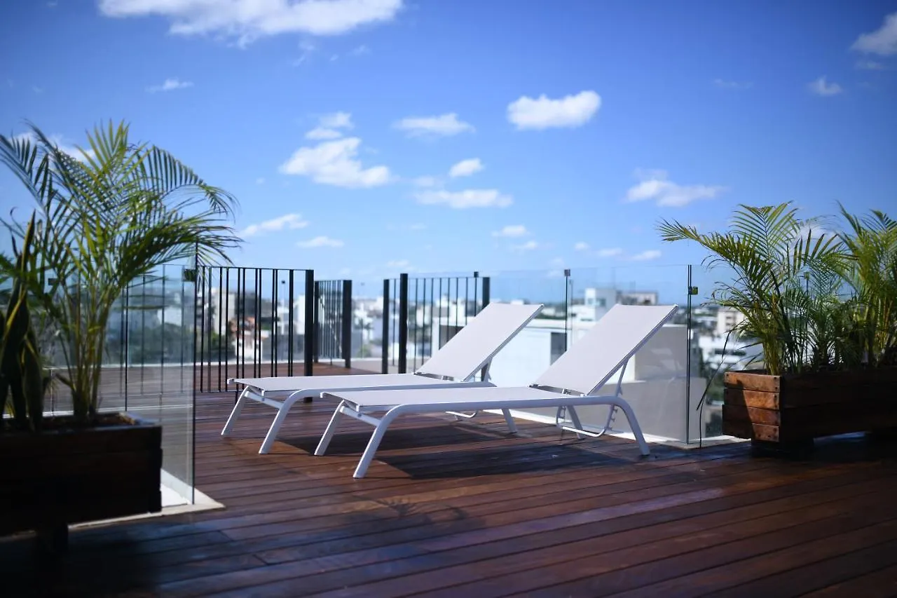 Polo 54 Apartments Ideal For Families And Couples プレヤデルカーメン