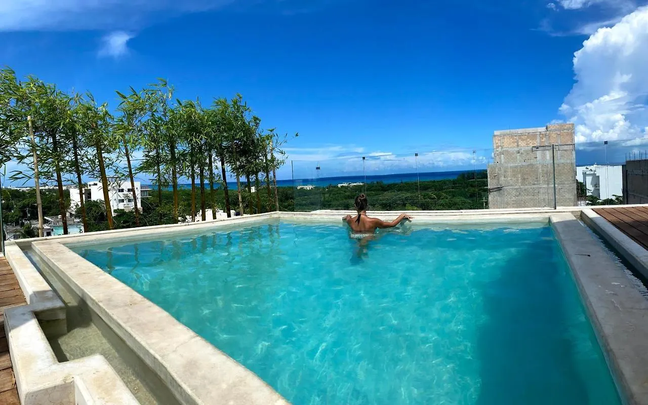 Polo 54 Apartments Ideal For Families And Couples プレヤデルカーメン