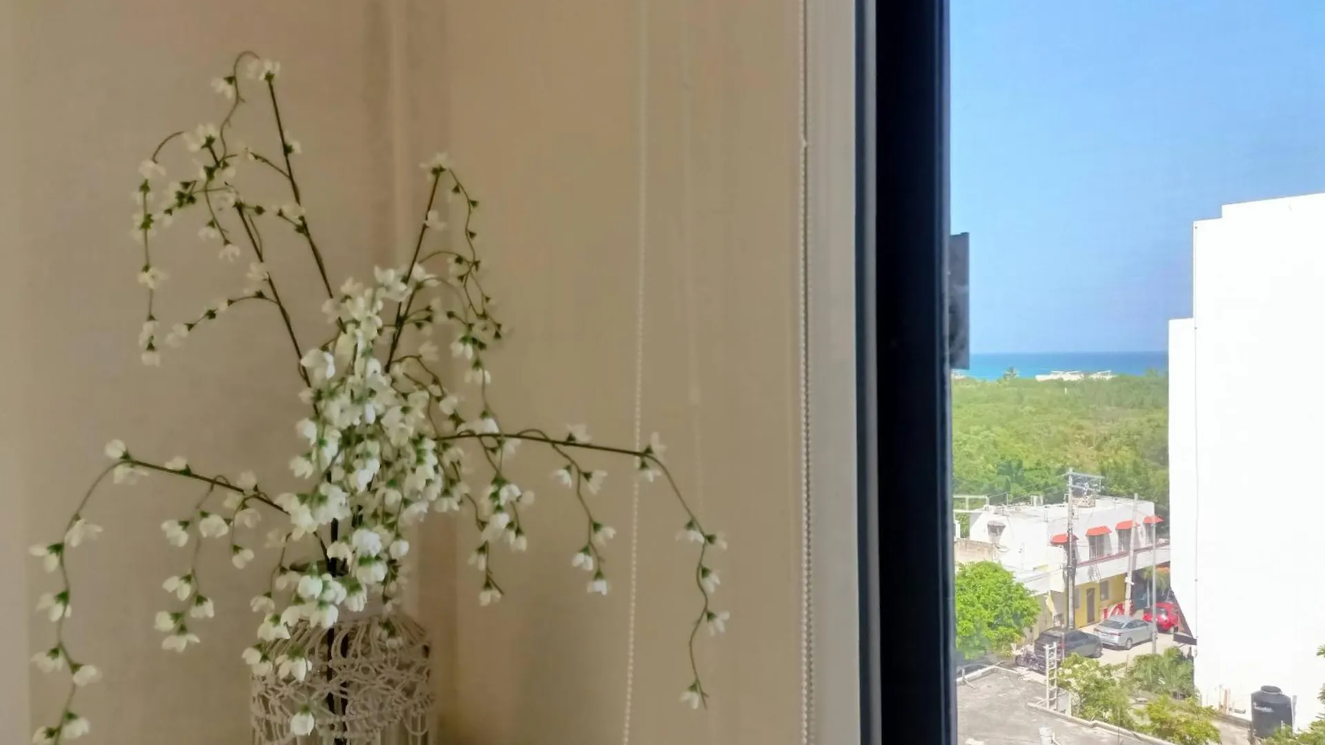 Polo 54 Apartments Ideal For Families And Couples プレヤデルカーメン
