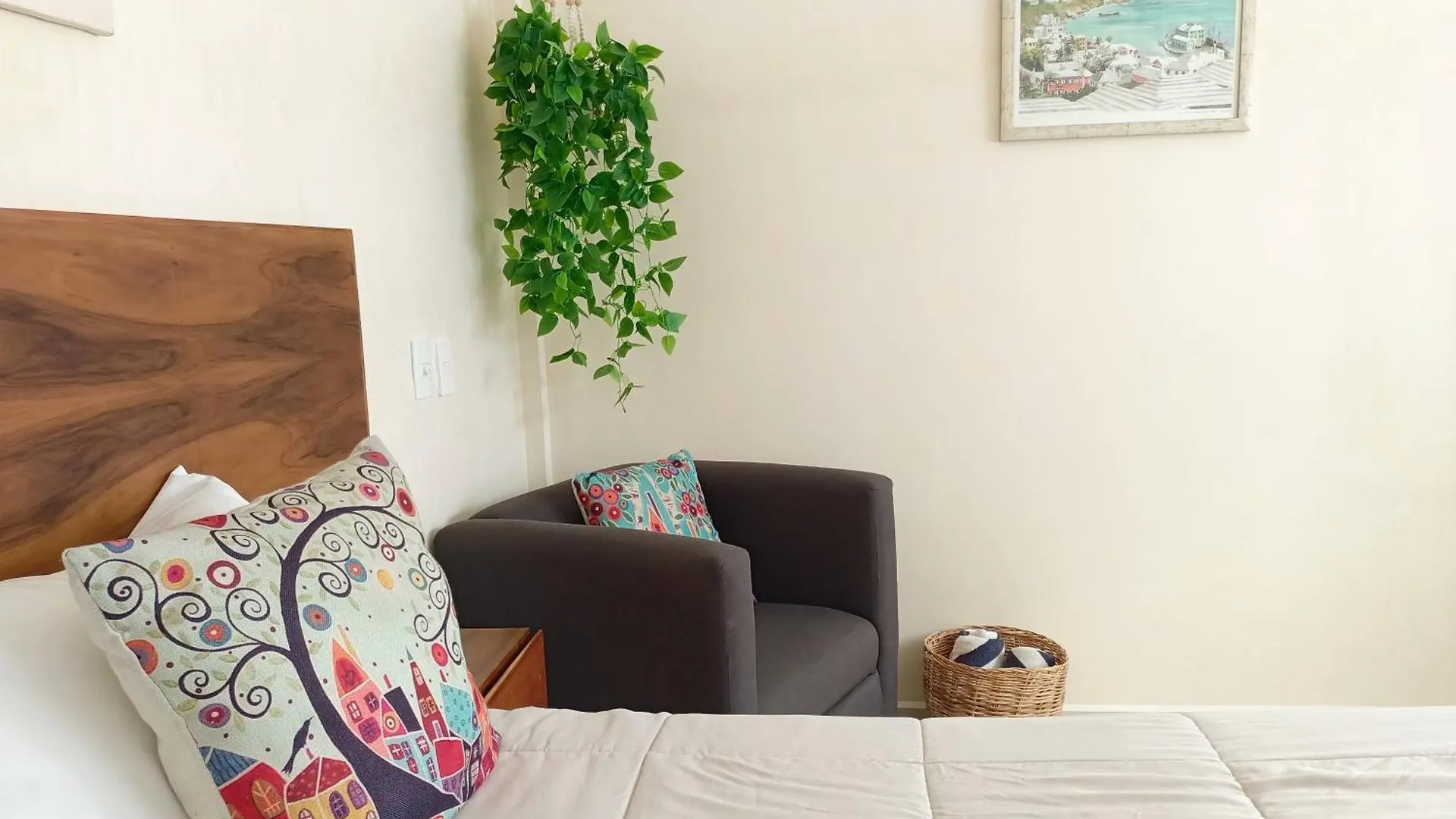 Polo 54 Apartments Ideal For Families And Couples プレヤデルカーメン
