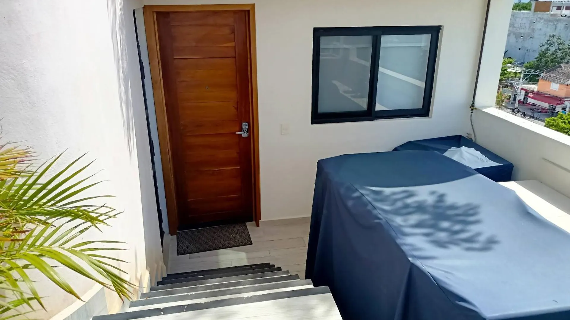 Polo 54 Apartments Ideal For Families And Couples プレヤデルカーメン