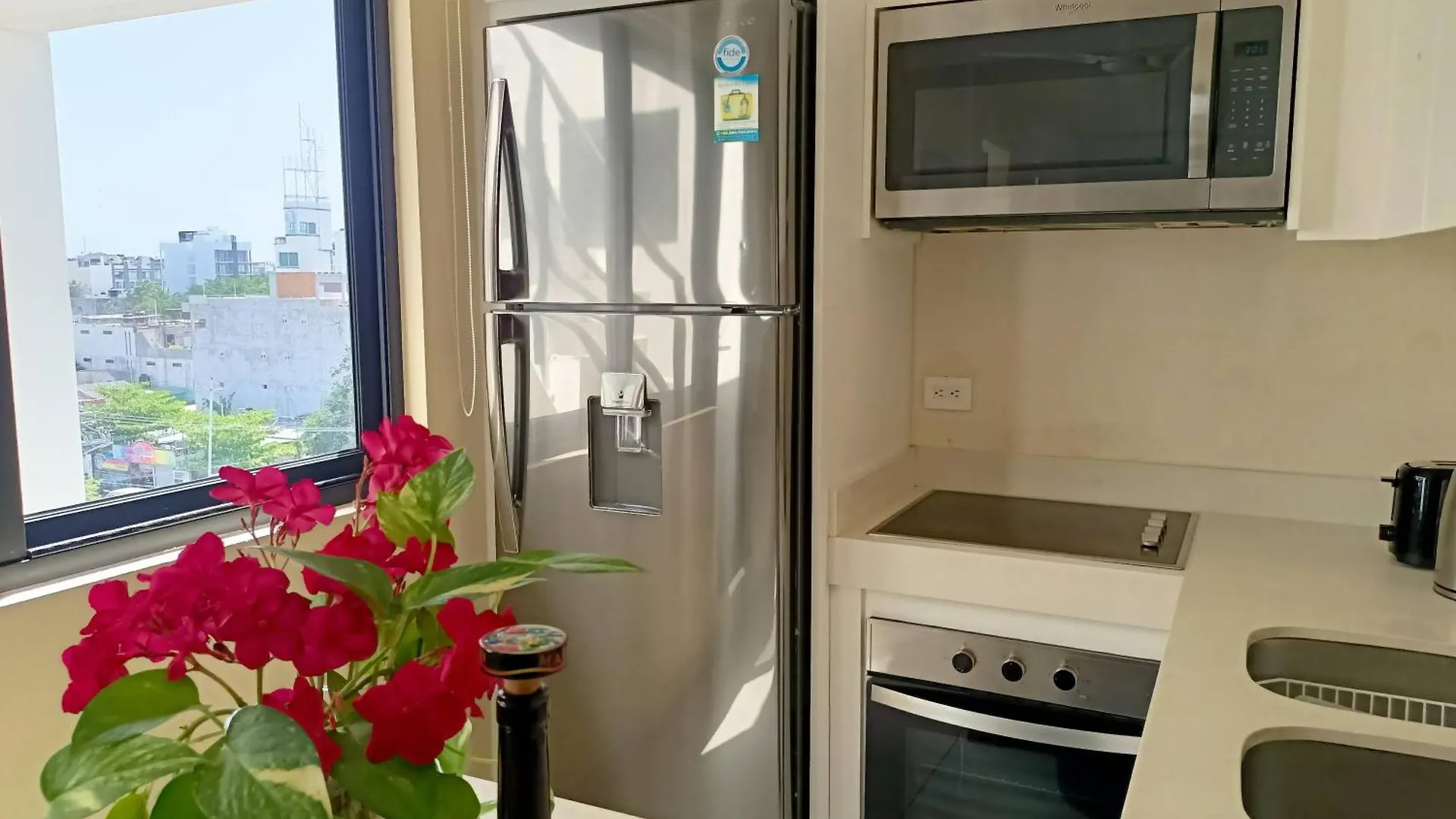 Polo 54 Apartments Ideal For Families And Couples プレヤデルカーメン