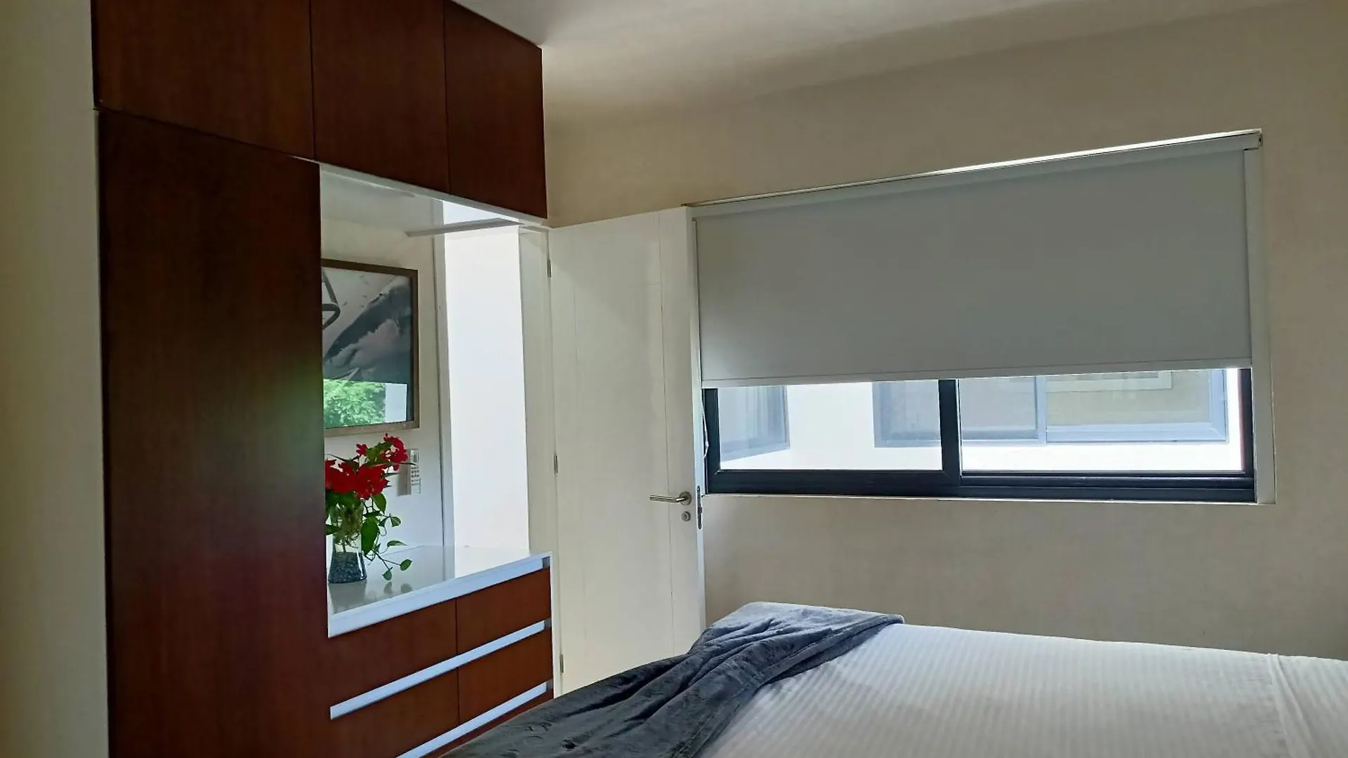 Polo 54 Apartments Ideal For Families And Couples プレヤデルカーメン