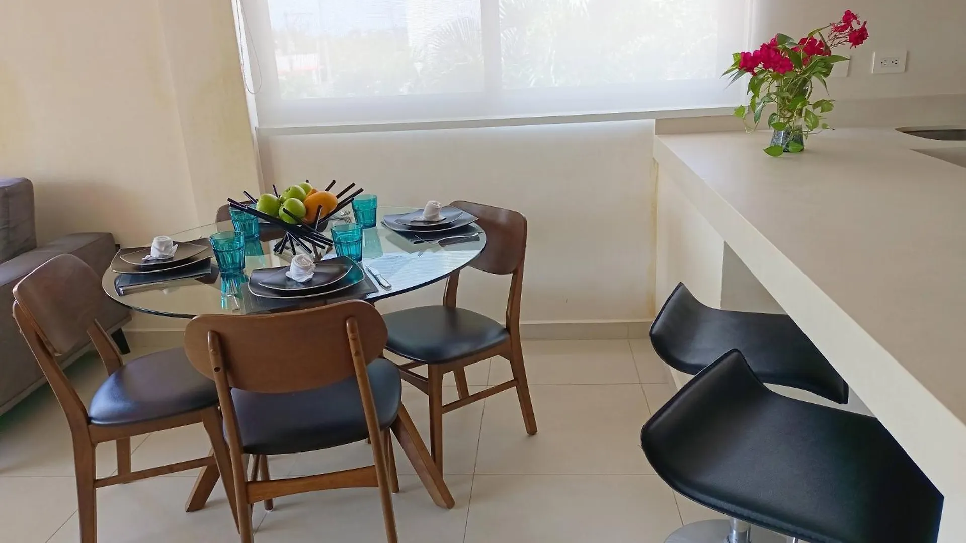 Polo 54 Apartments Ideal For Families And Couples プレヤデルカーメン