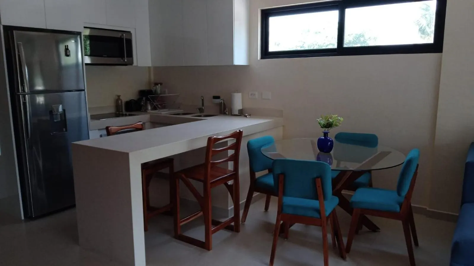 Polo 54 Apartments Ideal For Families And Couples プレヤデルカーメン